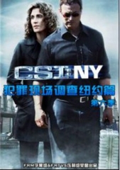 犯罪现场调查:纽约篇第六季